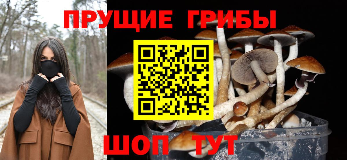 Псилоцибиновые грибы прущие грибы Барабинск
